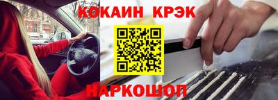 прущие грибы Нальчик