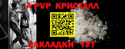 прущие грибы Нальчик
