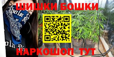 прущие грибы Нальчик