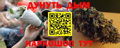 прущие грибы Нальчик