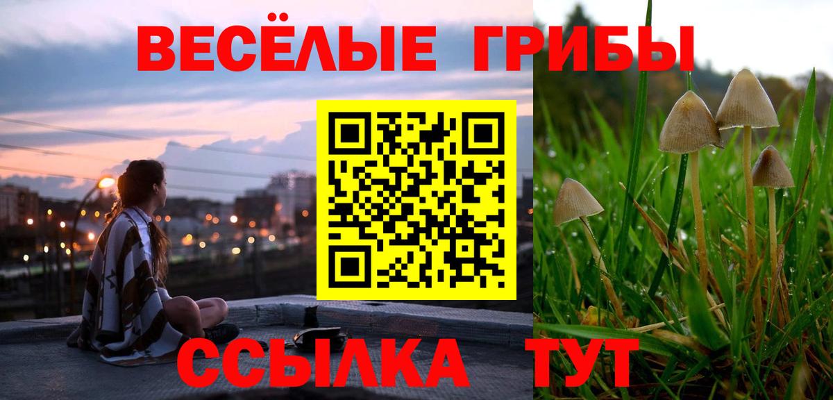 Псилоцибиновые грибы мухоморы Вичуга